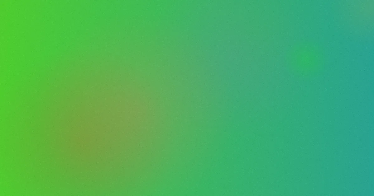 日历女孩在线观看配番茄肥牛面